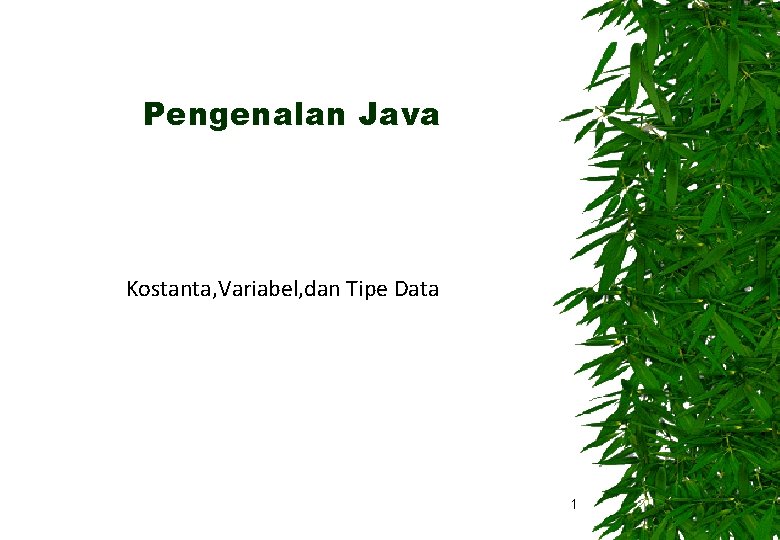 Pengenalan Java Kostanta, Variabel, dan Tipe Data 1 