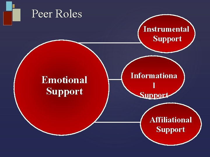 Peer Roles Instrumental Support Emotional Support Informationa l Support Affiliational Support 