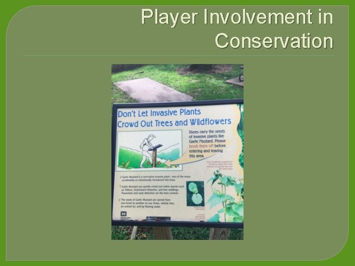 Player Involvement in Conservation 