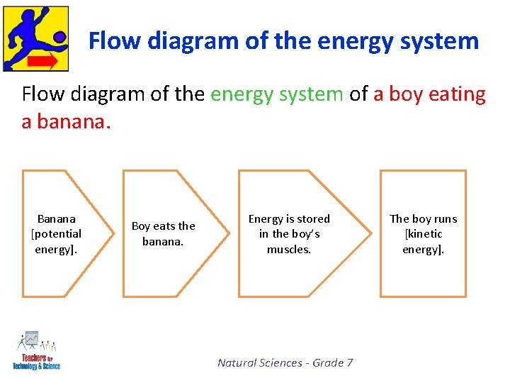 Flow diagram of the energy system of a boy eating a banana. Banana [potential