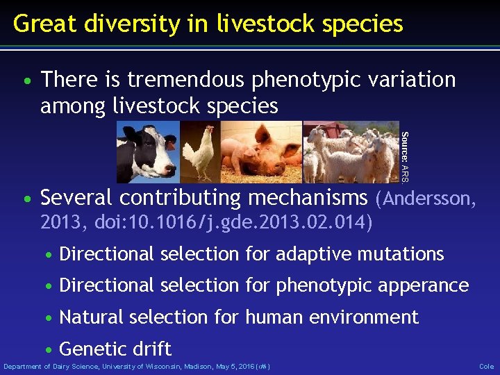 Great diversity in livestock species • There is tremendous phenotypic variation among livestock species