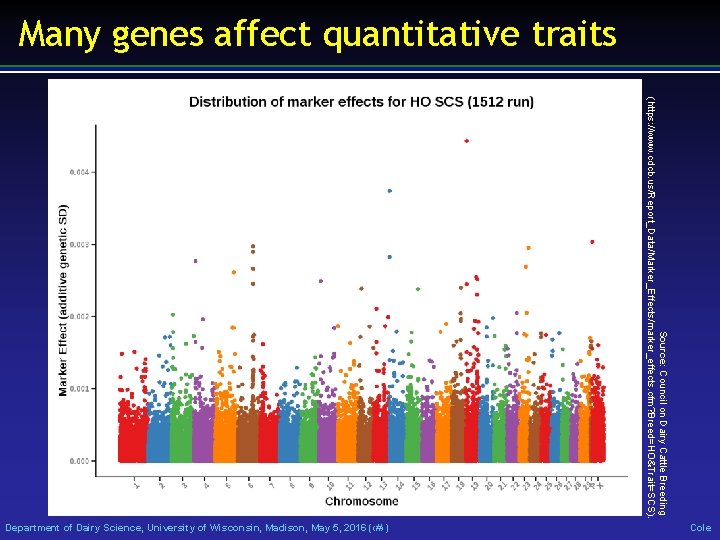 Many genes affect quantitative traits Source: Council on Dairy Cattle Breeding (https: //www. cdcb.