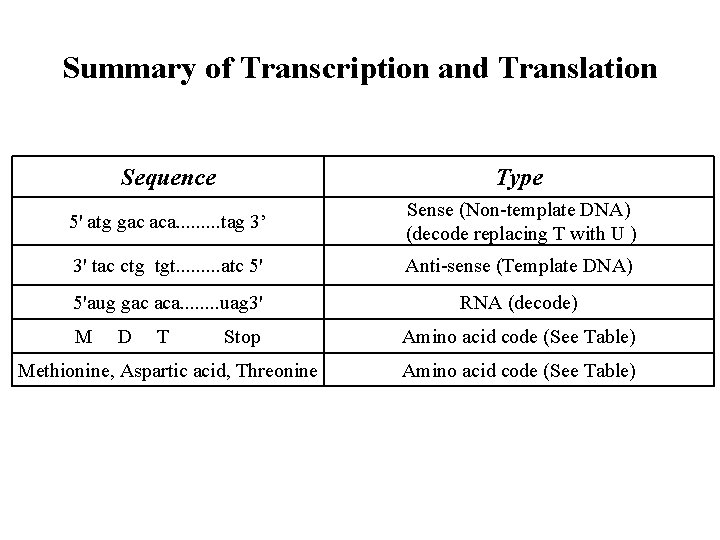 Summary of Transcription and Translation Sequence Type 5' atg gac aca. . tag 3’