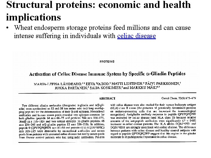Structural proteins: economic and health implications • Wheat endosperm storage proteins feed millions and