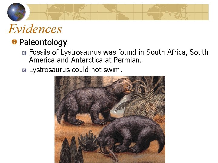 Evidences Paleontology Fossils of Lystrosaurus was found in South Africa, South America and Antarctica