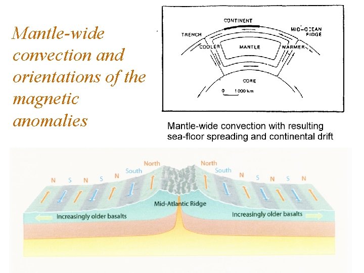 Mantle-wide convection and orientations of the magnetic anomalies 