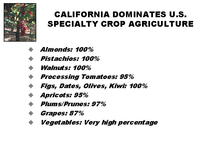 CALIFORNIA DOMINATES U. S. SPECIALTY CROP AGRICULTURE u u u u u Almonds: 100%