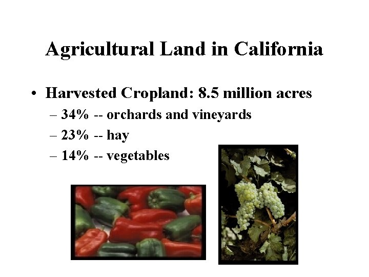 Agricultural Land in California • Harvested Cropland: 8. 5 million acres – 34% --