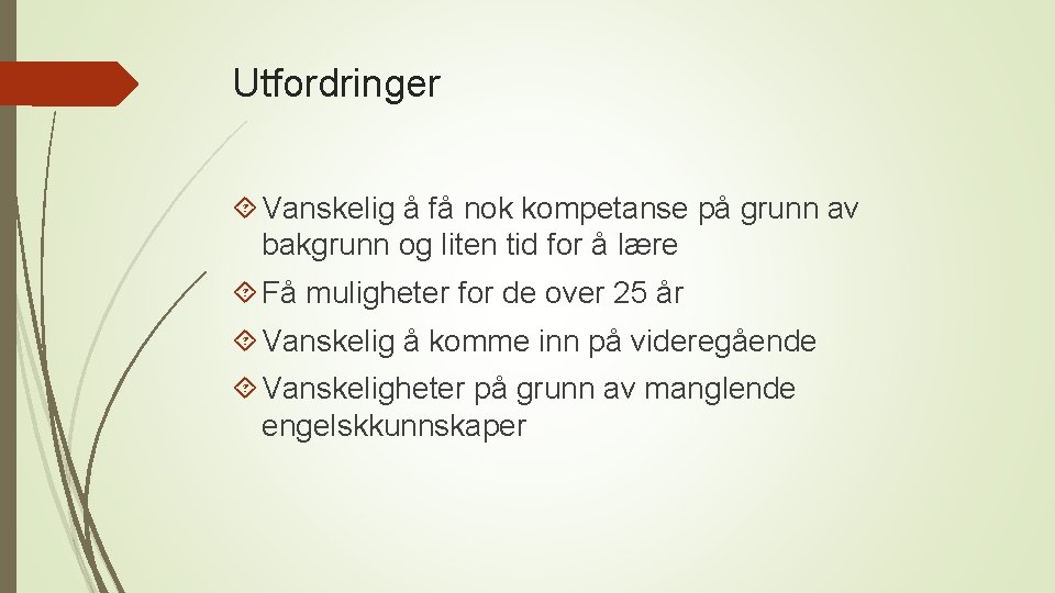 Utfordringer Vanskelig å få nok kompetanse på grunn av bakgrunn og liten tid for