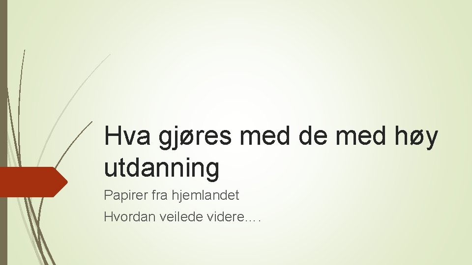 Hva gjøres med de med høy utdanning Papirer fra hjemlandet Hvordan veilede videre…. 