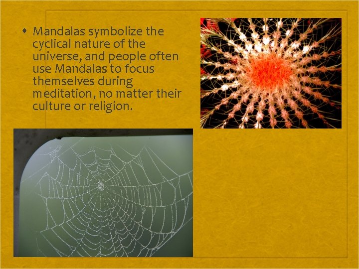  Mandalas symbolize the cyclical nature of the universe, and people often use Mandalas
