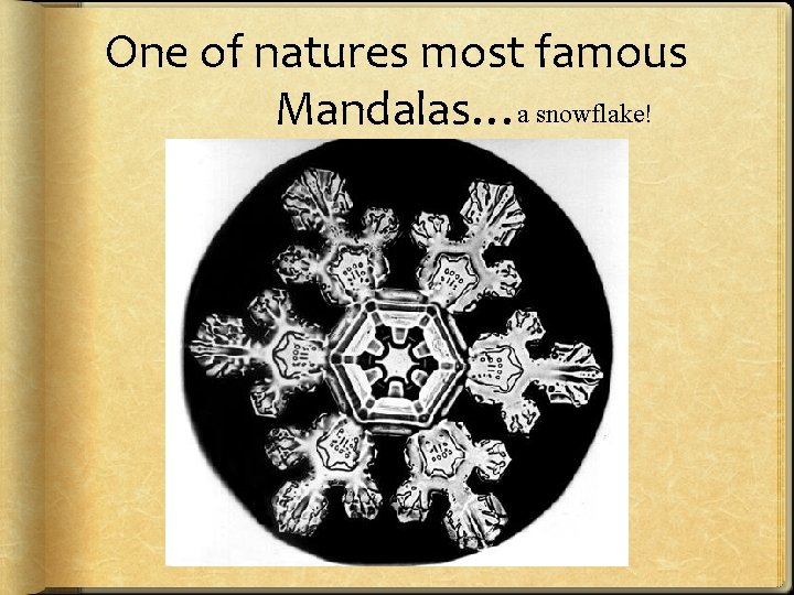 One of natures most famous Mandalas…a snowflake! 