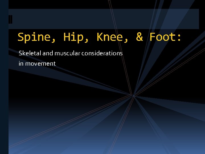 Spine, Hip, Knee, & Foot: Skeletal and muscular considerations in movement 
