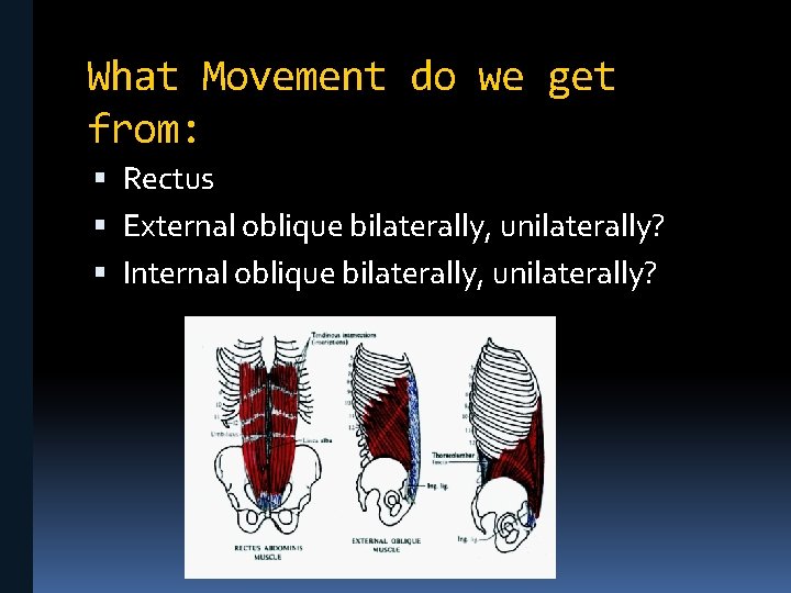 What Movement do we get from: Rectus External oblique bilaterally, unilaterally? Internal oblique bilaterally,