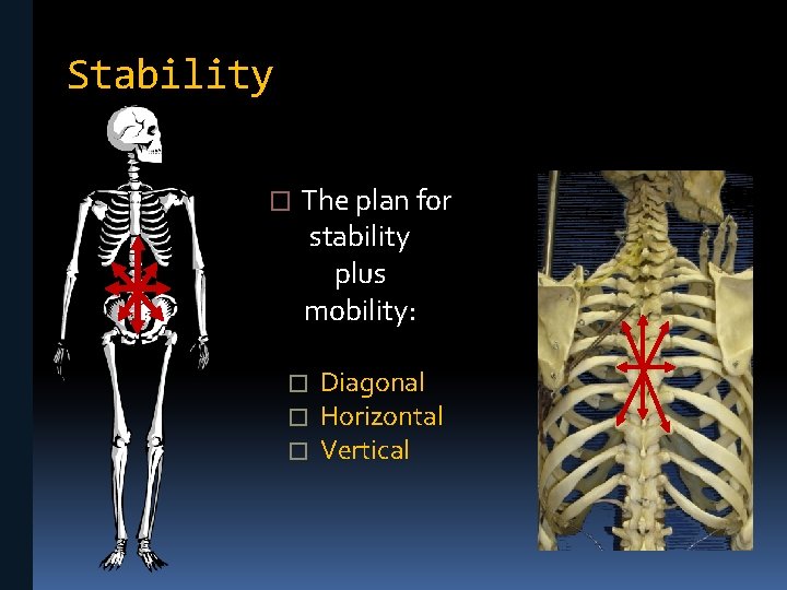 Stability � The plan for stability plus mobility: � � � Diagonal Horizontal Vertical