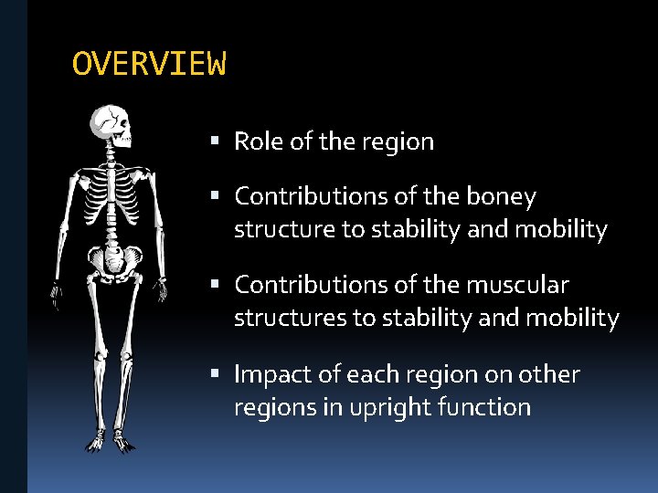 OVERVIEW Role of the region Contributions of the boney structure to stability and mobility