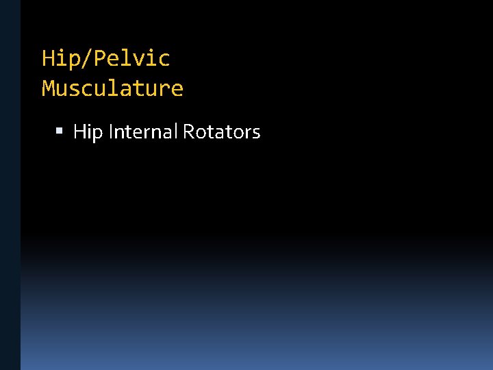 Hip/Pelvic Musculature Hip Internal Rotators 