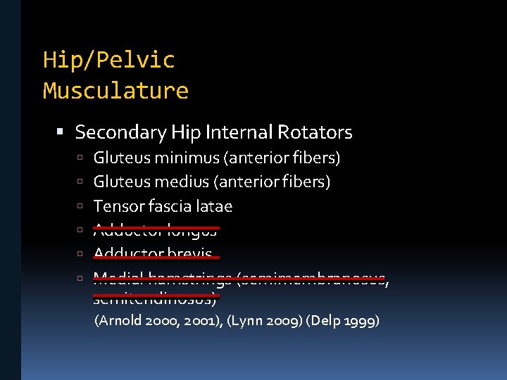 Hip/Pelvic Musculature Secondary Hip Internal Rotators Gluteus minimus (anterior fibers) Gluteus medius (anterior fibers)