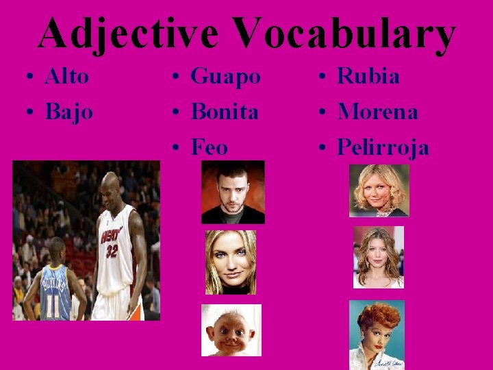 Adjective Vocabulary • Alto • Bajo • Guapo • Bonita • Feo • Rubia