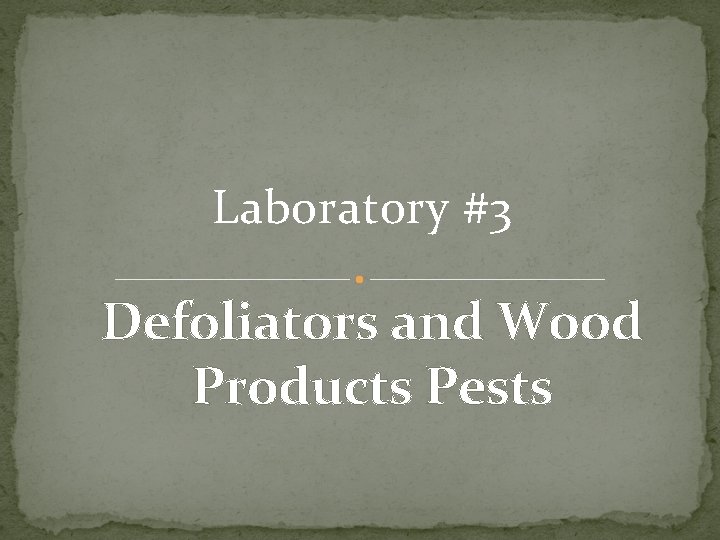 Laboratory #3 Defoliators and Wood Products Pests 
