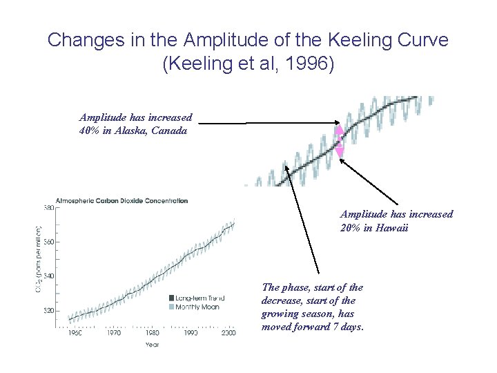 Changes in the Amplitude of the Keeling Curve (Keeling et al, 1996) Amplitude has