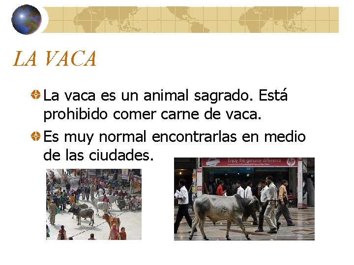 LA VACA La vaca es un animal sagrado. Está prohibido comer carne de vaca. LA VACA La vaca es un animal sagrado. Está prohibido comer carne de vaca.