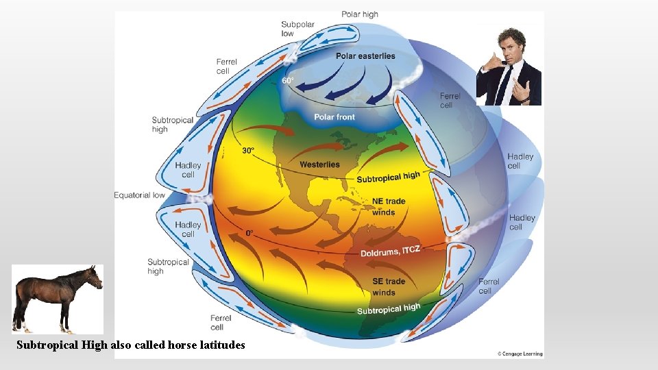 Subtropical High also called horse latitudes 