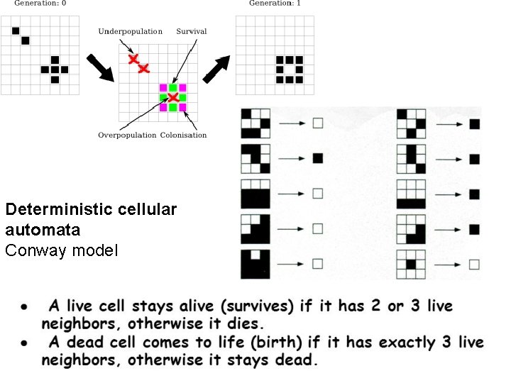 Deterministic cellular automata Conway model 