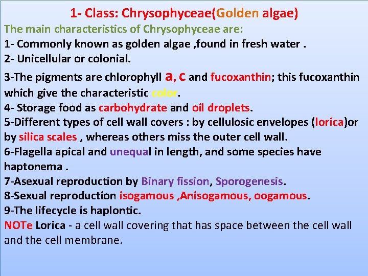 1 - Class: Chrysophyceae(Golden algae) The main characteristics of Chrysophyceae are: 1 - Commonly