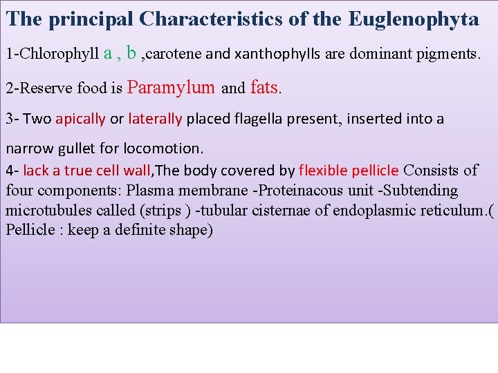 The principal Characteristics of the Euglenophyta 1 -Chlorophyll a , b , carotene and