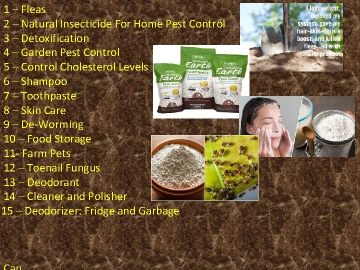 1 – Fleas 2 – Natural Insecticide For Home Pest Control 3 – Detoxification