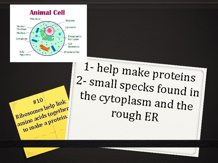 #10 ink l p l he ther s e som s toge. o b