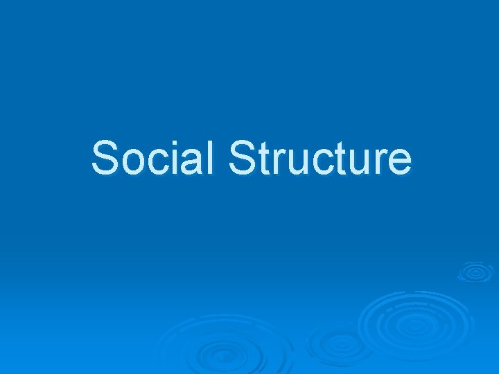 Social Structure 