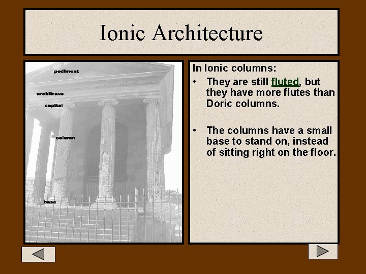 Ionic Architecture In Ionic columns: • They are still fluted, but they have more