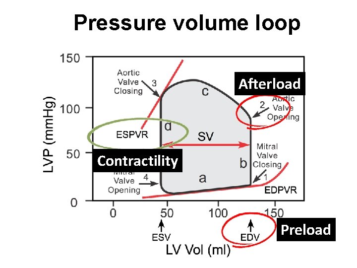 Management of heart failure with reduced ejection faction