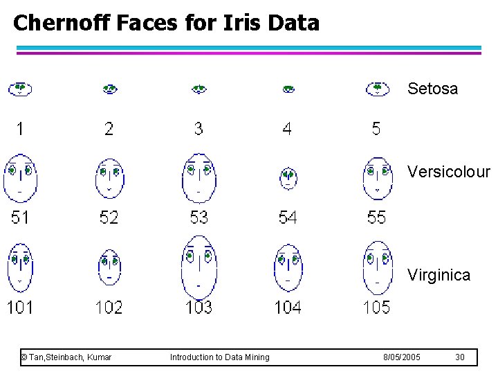 Chernoff Faces for Iris Data Setosa Versicolour Virginica © Tan, Steinbach, Kumar Introduction to Chernoff Faces for Iris Data Setosa Versicolour Virginica © Tan, Steinbach, Kumar Introduction to