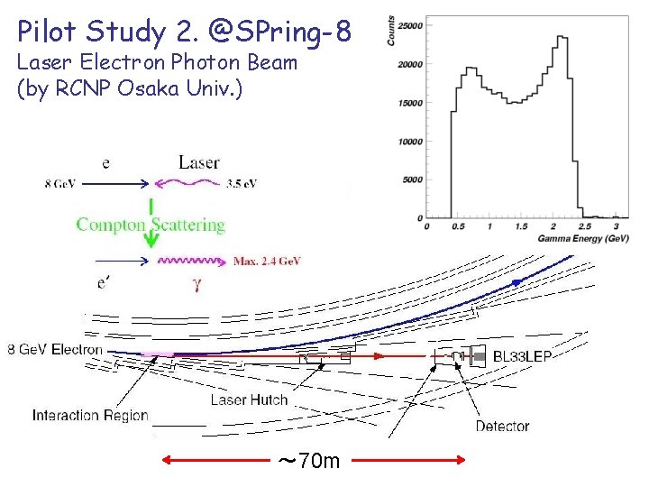 Pilot Study 2. @SPring-8 Laser Electron Photon Beam (by RCNP Osaka Univ. ) ～