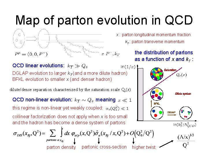 Map of parton evolution in QCD x : parton longitudinal momentum fraction k. T