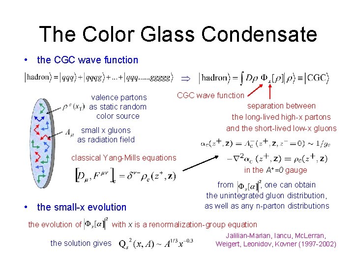 The Color Glass Condensate • the CGC wave function valence partons as static random