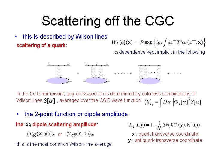 Scattering off the CGC • this is described by Wilson lines scattering of a