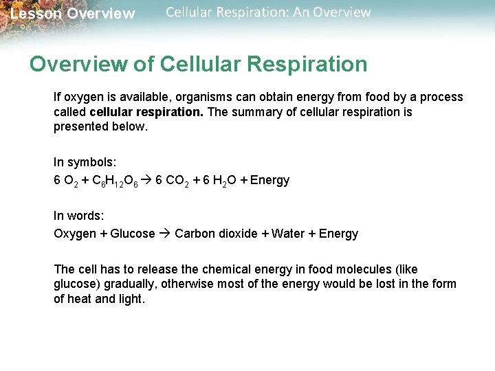 Lesson Overview Cellular Respiration: An Overview of Cellular Respiration If oxygen is available, organisms