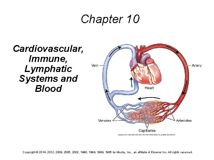 Chapter 10 Cardiovascular, Immune, Lymphatic Systems and Blood Copyright © 2014, 2012, 2009, 2005,