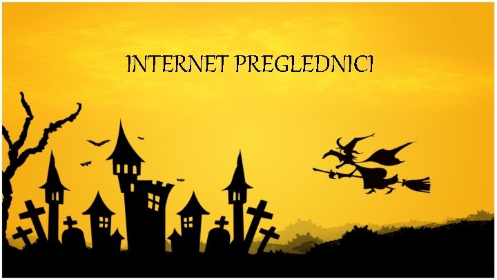 INTERNET PREGLEDNICI 