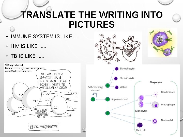 TRANSLATE THE WRITING INTO PICTURES • IMMUNE SYSTEM IS LIKE. . • HIV IS