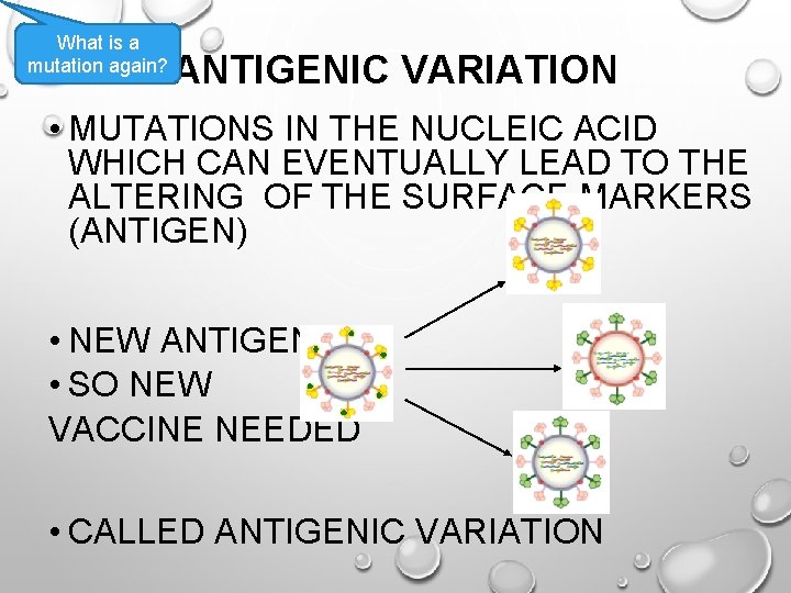 What is a mutation again? ANTIGENIC VARIATION • MUTATIONS IN THE NUCLEIC ACID WHICH