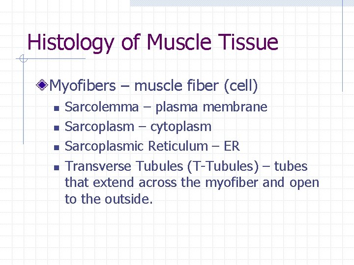 Histology of Muscle Tissue Myofibers – muscle fiber (cell) n n Sarcolemma – plasma