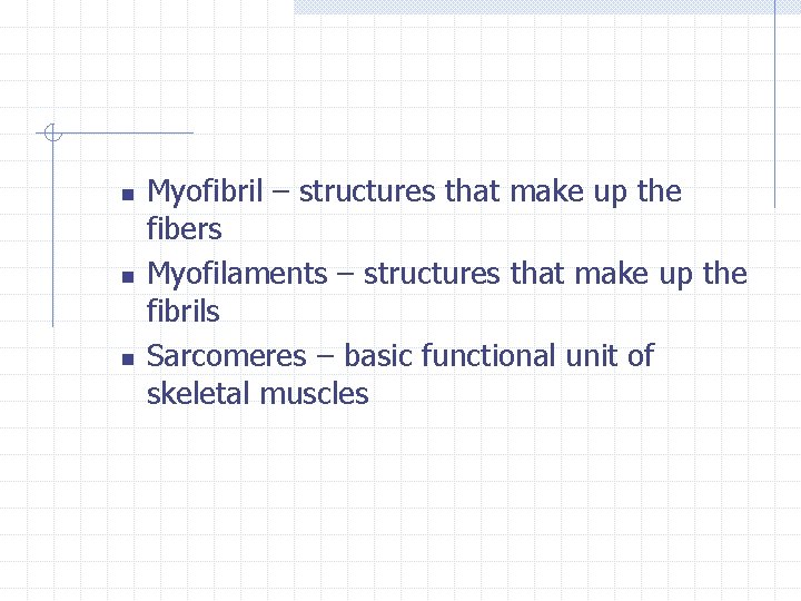 n n n Myofibril – structures that make up the fibers Myofilaments – structures