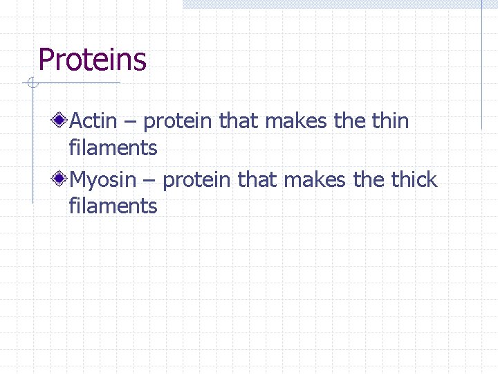 Proteins Actin – protein that makes the thin filaments Myosin – protein that makes