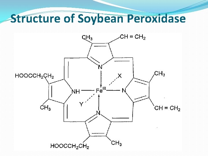 Structure of Soybean Peroxidase 