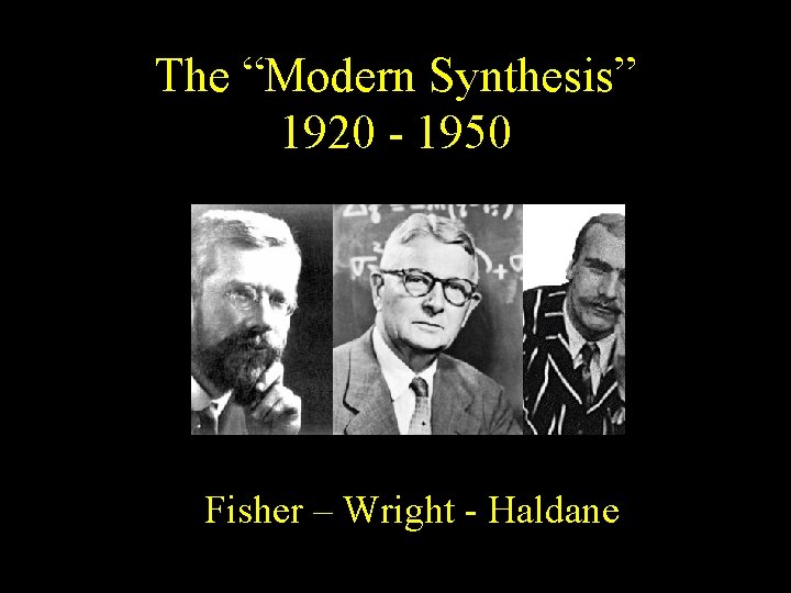 The “Modern Synthesis” 1920 - 1950 Fisher – Wright - Haldane 